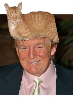 1301273987100408206.jpg