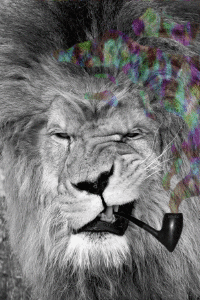 200w.gif