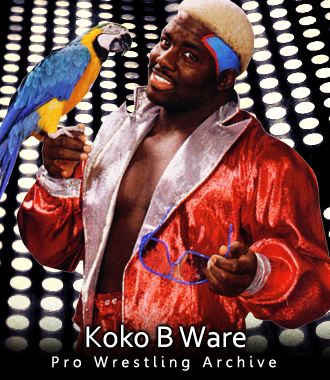 koko_b_ware.jpg