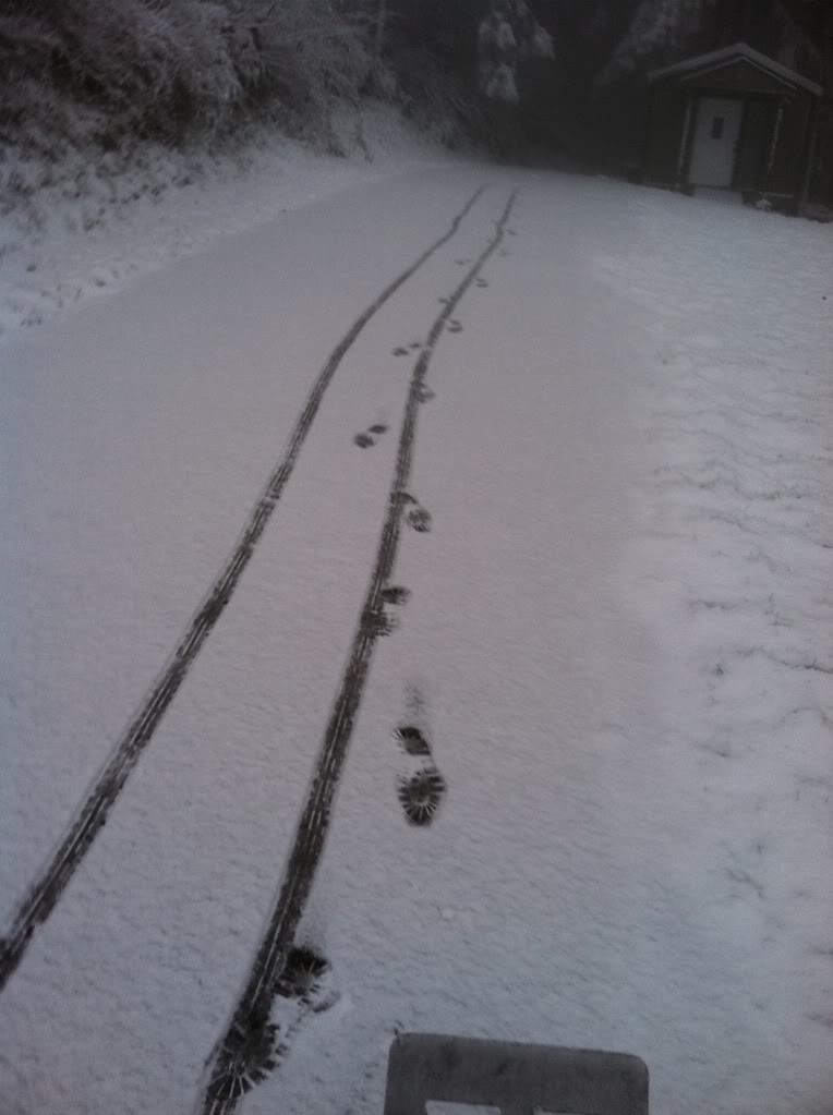 footprints.jpg