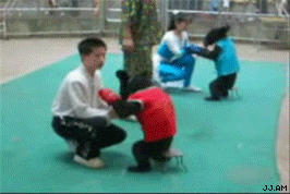 boxing-bear-cubs.gif