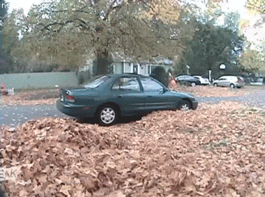 JR9Fd5m.gif