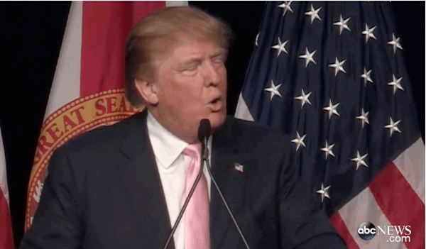 donald-trump-poll-accuracy.gif
