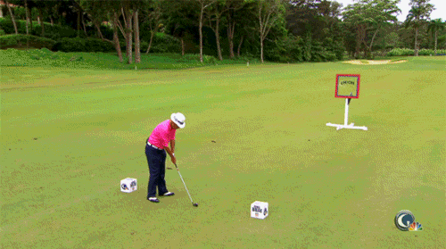 3.gif