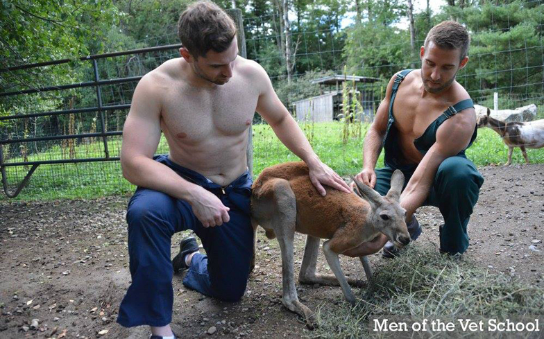 Vet-School-Calendar-4.jpg