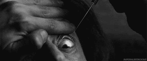 tumblr_n8rlogLIx81tfjn1lo1_500.gif