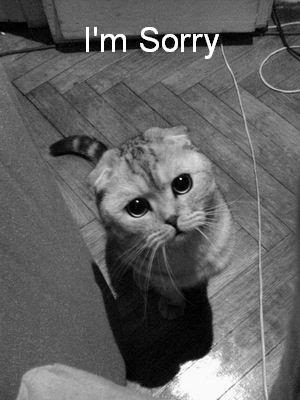 ImSorry.jpg