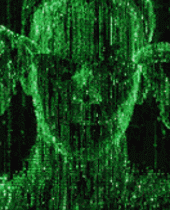 4rQ436W.gif