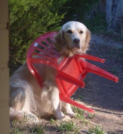 fail-8.jpg