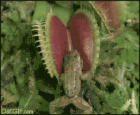 200w.gif