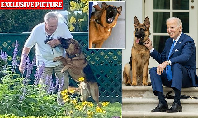 www.dailymail.co.uk