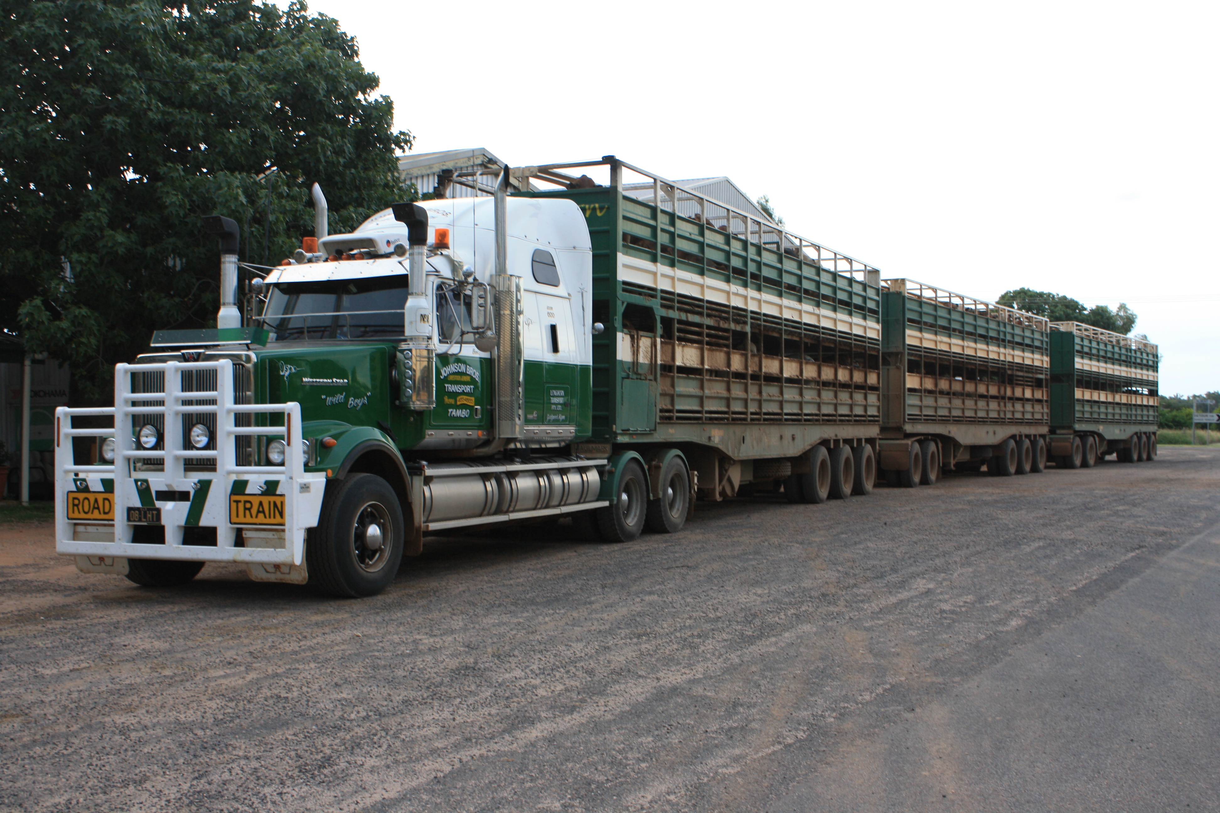 Road_Train_-_Tambo.JPG