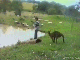 rqJyXCPSVH7DW.gif