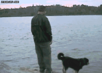 giphy-12.gif