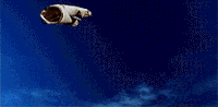 200w.gif