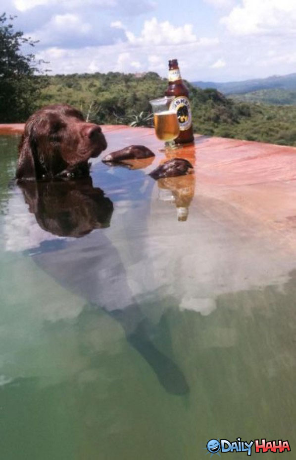 dog-on-vacation1.jpg