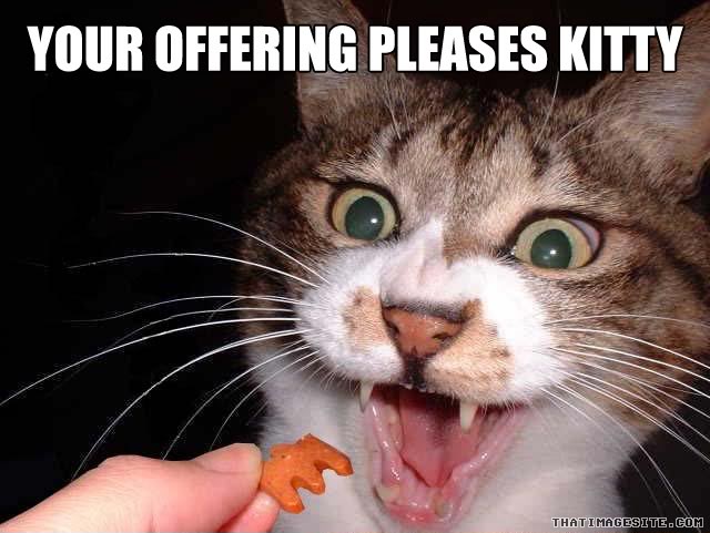 kitty.jpg
