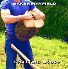 5c165c1a78368881255285.gif