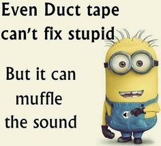 3390cfd33c3b43a6b428b8e8fe056335.jpg