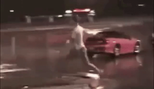 WeeklyWellinformedKilldeer-size_restricted.gif