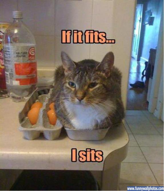 i-sits.jpg