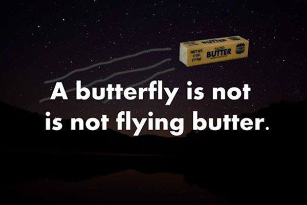 The-more-you-know-about-Butterflies.jpg