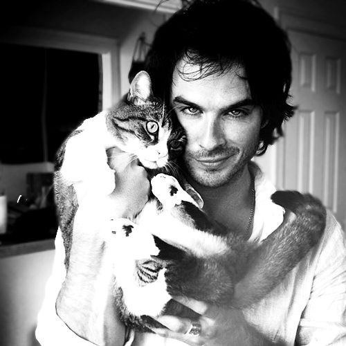 220e456e00e3af458e25f836724975fe--cat-lovers-beautiful-men.jpg