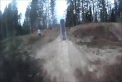 tumblr_mjve3blUqY1r2aaoro1_250.gif