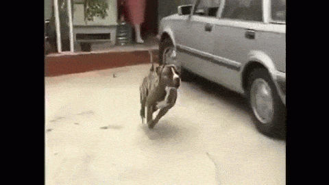 y3M39d.gif