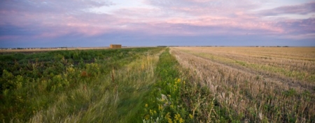 manitoba_uni_1350691632.jpg