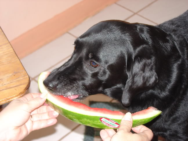 Watermelon004.jpg