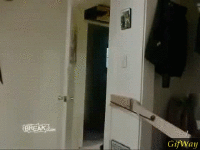 200w.gif
