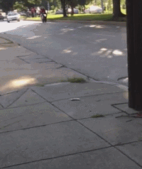 200w.gif