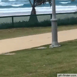 c93b8c455f261b51cf1ce5c72b038be2.gif