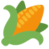 Ear of maize