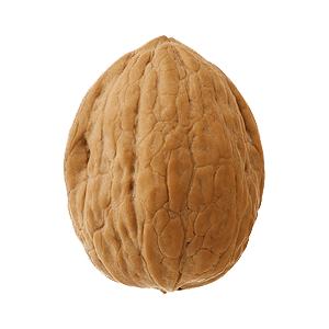 580b57fcd9996e24bc43c1d8.png