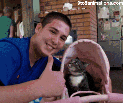 boy-get-paw-in-the-face-cat-gif.gif