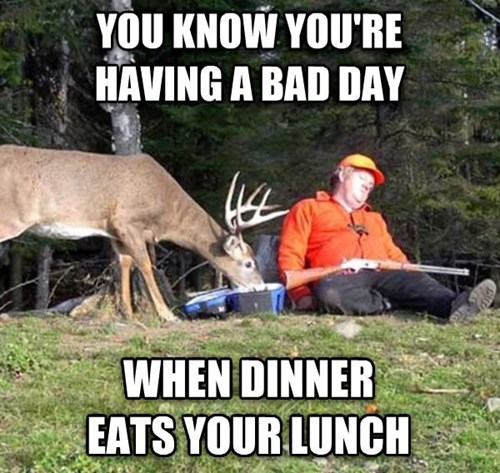 hE00B808B_zpsb1b7c41a.jpg