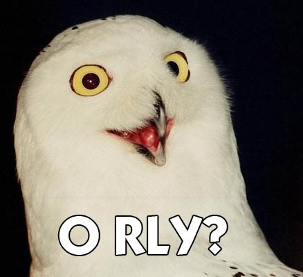 o_rly_owl.jpg