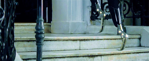 InsidiousRealisticKittiwake.gif