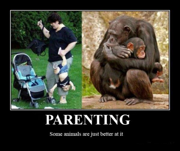 parenting6.jpg