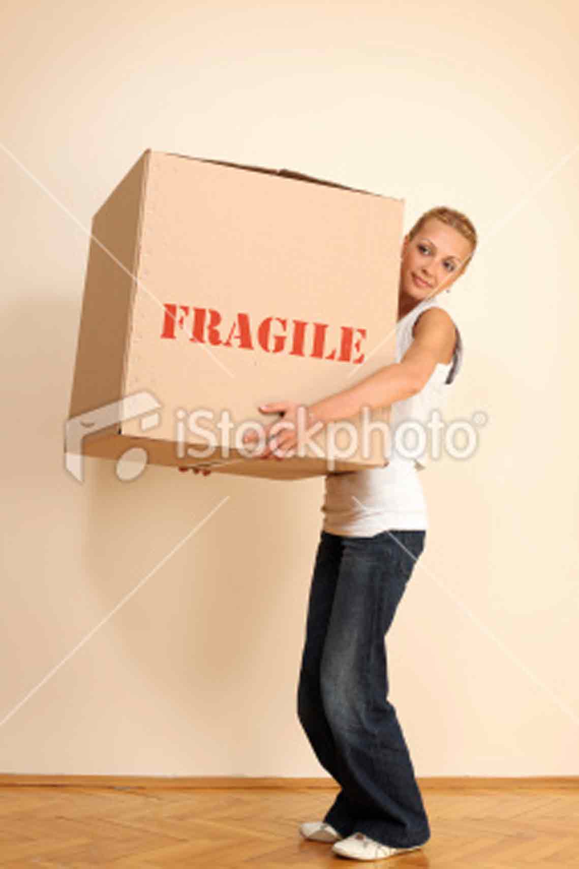 carrying-box-2.jpg