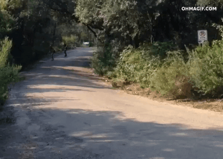 girl-skateboarding-on-road-epic-faceplant.gif