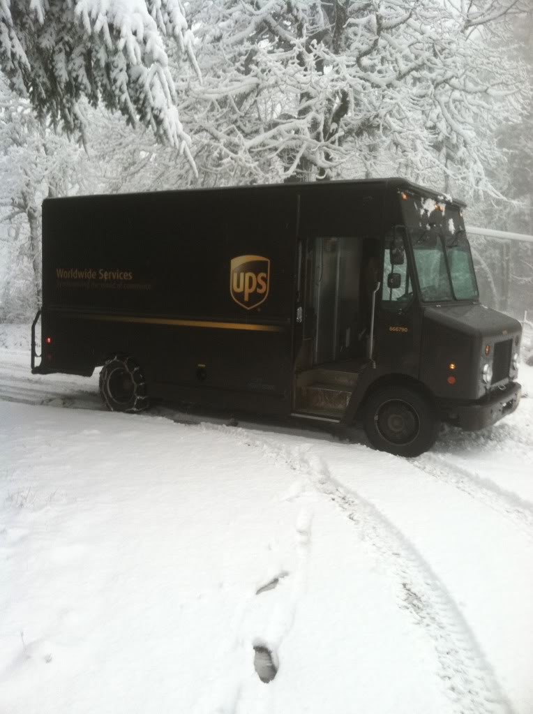 snow1.jpg