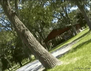 1255953590_tree-flip-fail.gif