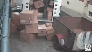 200.gif