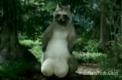 YbcBAMy.gif