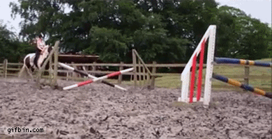 1372784216_horse_jumping_fail.gif