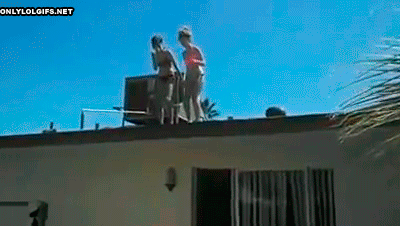 giphy.gif
