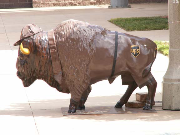 w20ok20city0620buffalo20ups20shorts_zpsd12c521c.jpg